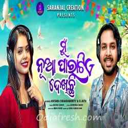 Mun Nua Paratiye Dekhichhi